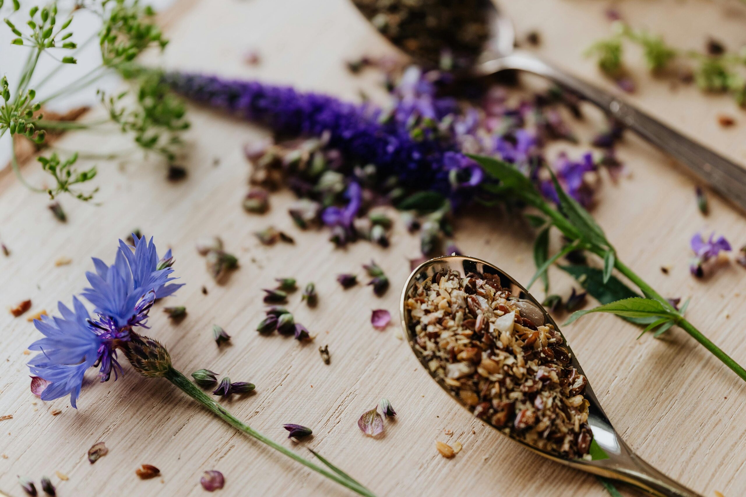 artículos Tipps zum Gewürzanbau in Deutschland: Wie Sie erfolgreich verschiedene Gewürze anbauen